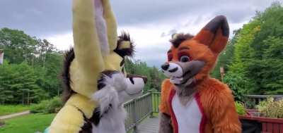 Screes_irl