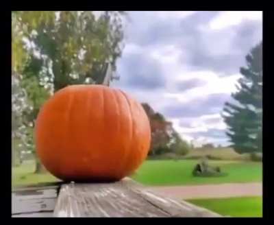 Pumpkin vs ak 47