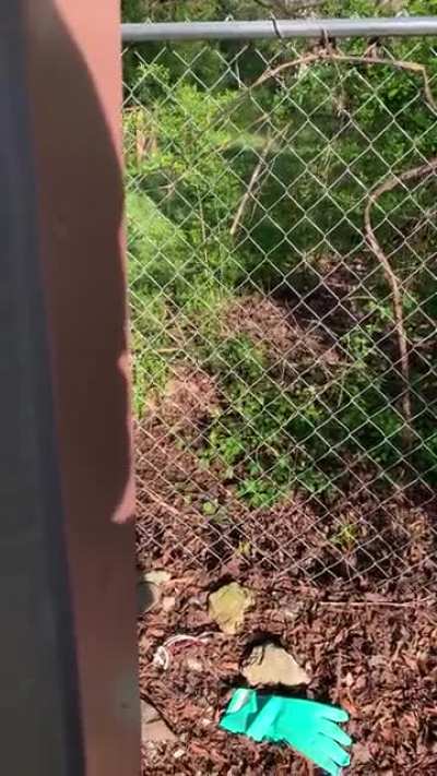 Hide and seek you say?