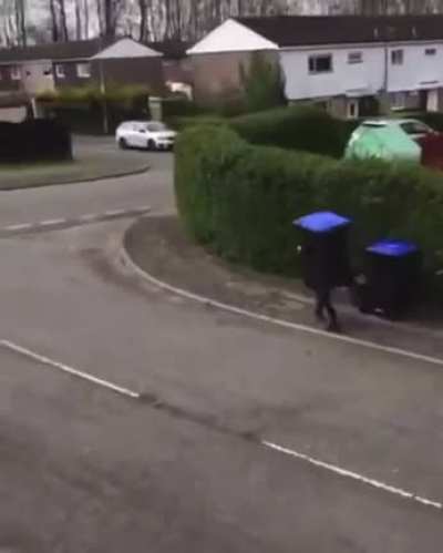 Fucking twat