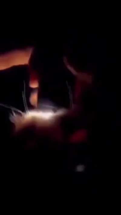 Hell en puss
