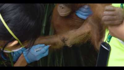 Everyone’s first jab