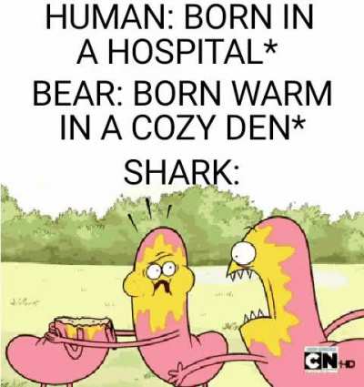 nobody: brother sharks before birth: only one will remain