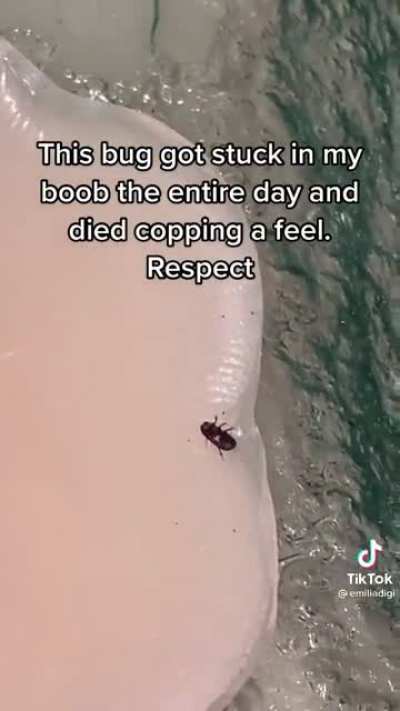 He died doing what he loved 😔