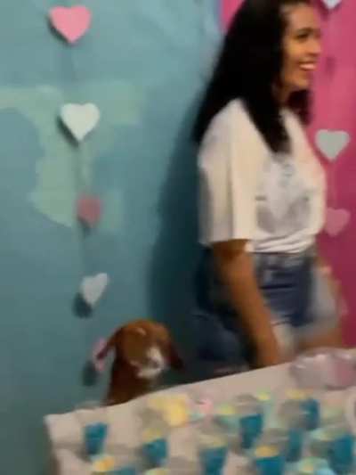 👍