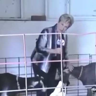 r/NiceGoats