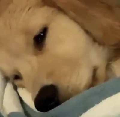 Deep in thought