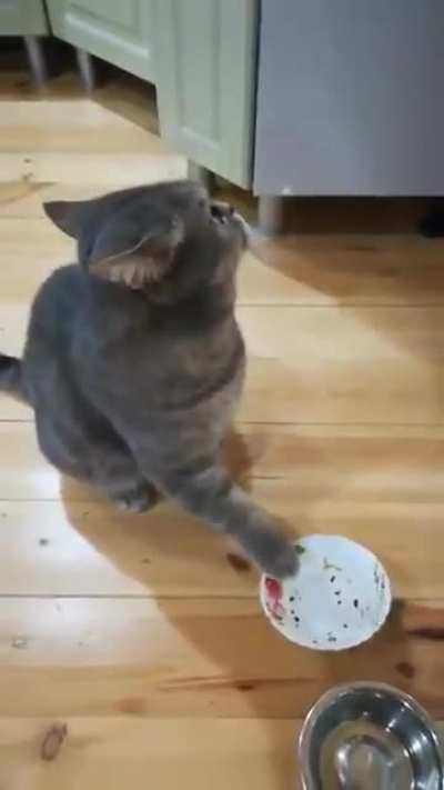 Хоцу кушац