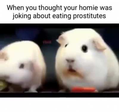 stolen from discord