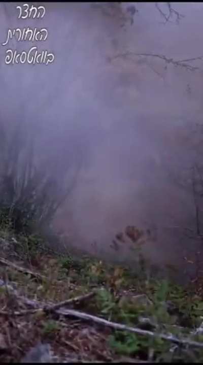 Hezbollah fighter was taken out by the IDF on the Lebanese-Israeli border