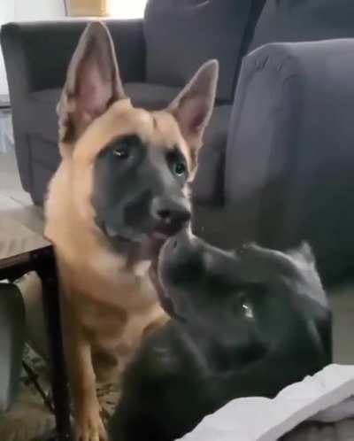 Любовь это...