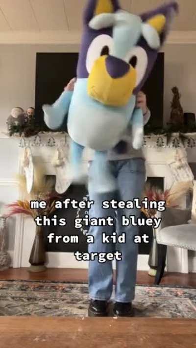 To whom it may concern, there is no video of the purported fight between a 30 year old women and a child over a Bluey plush, nor is there proof that it actually happened.
