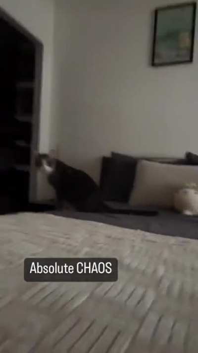 he flew