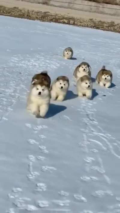 Running Race