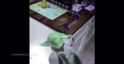coitado ;-;