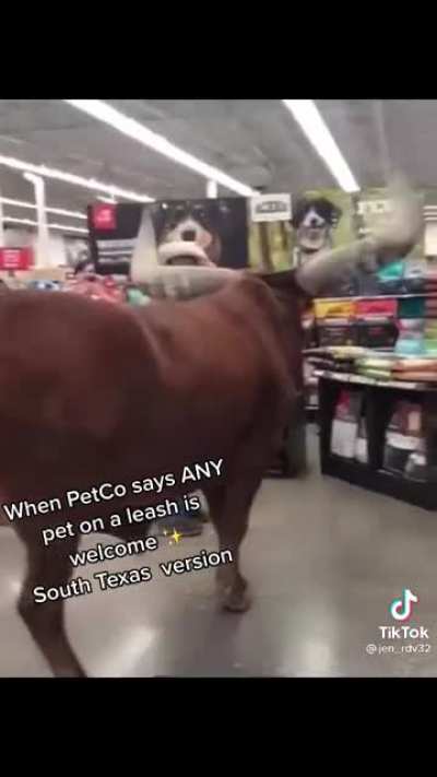 South Texas unit