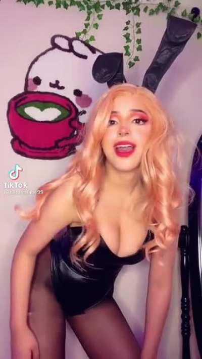 Cute bunny