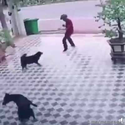 hmmmmmmmm