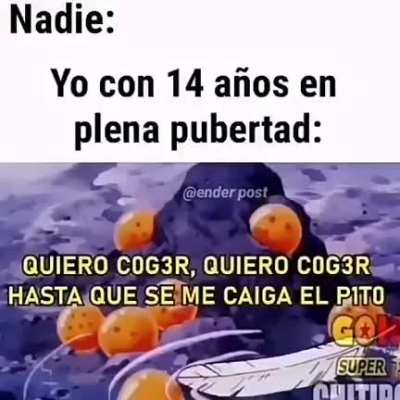 xd