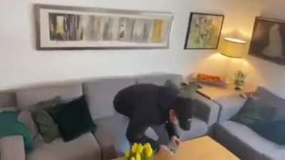 Found this clip of me stubbing my knee for a school project