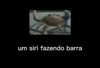 tue ta brabo hj