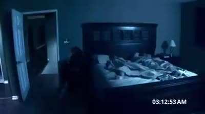Paranormal cat-tivity