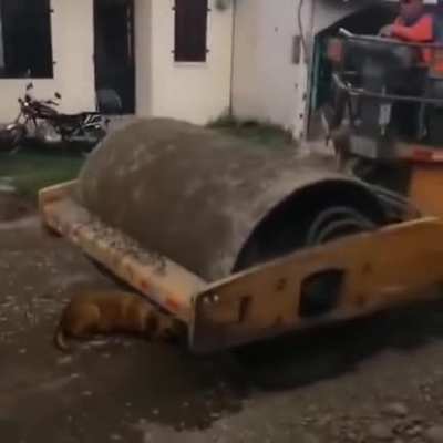 Не жесть