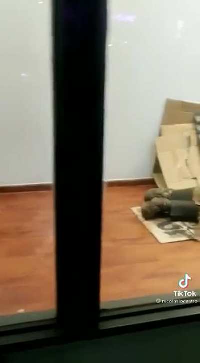 Arte! Arte!
