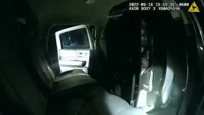 Dumbass cops accidentally cause suspect to be hit by a train