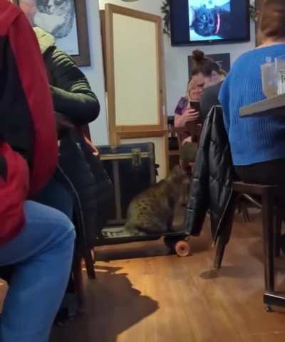 Are you see him?