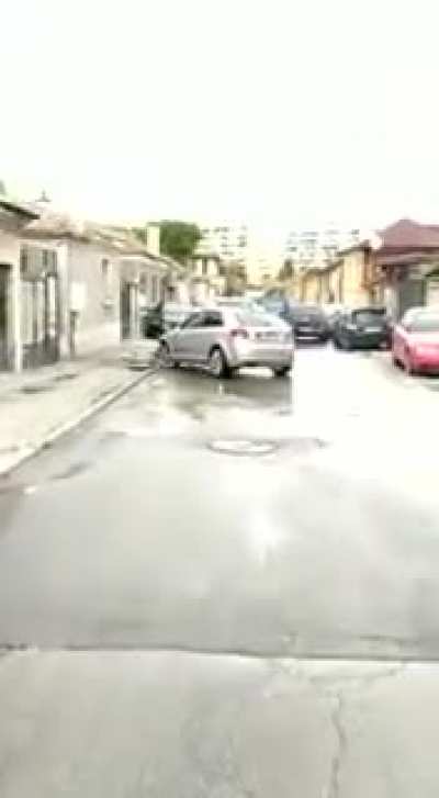 GTA V(arna)