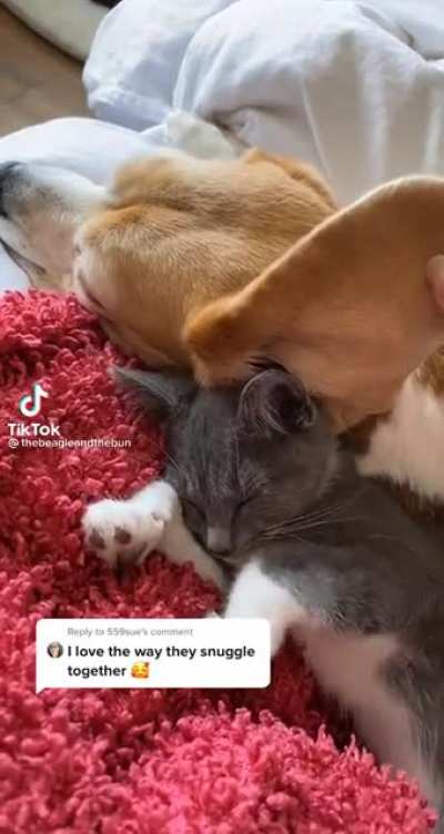 Fluffy blanket