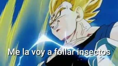 Me la voy a f0llar insectos 😎