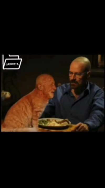 He wants lasagnar waltuh 