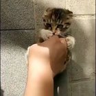 Let’s play!