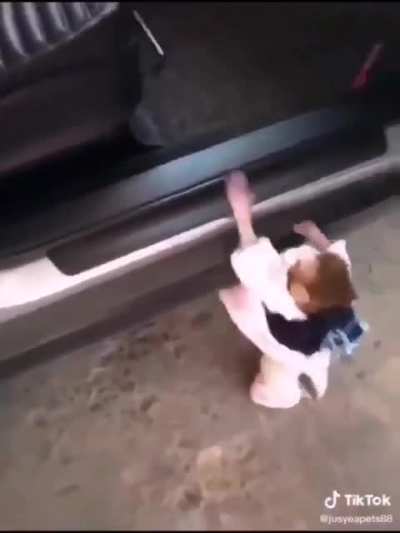 Lil Monky