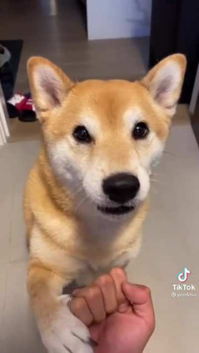 No one wants to be fed that