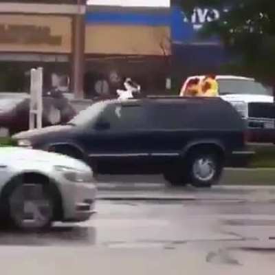 they've got beef