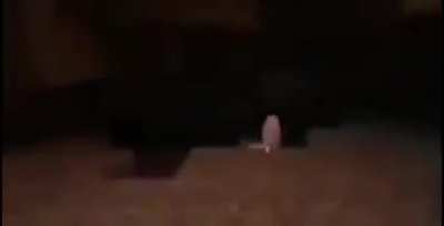 Nooooo dandyy