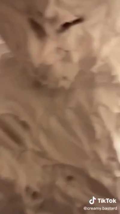 çrêåmÿ