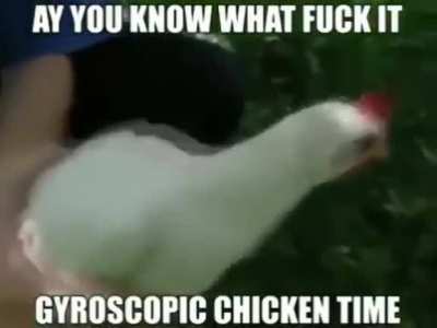 What animal is this