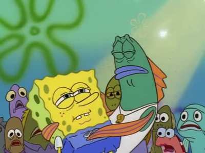 Sponge 5