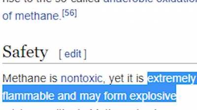 So, uh... about 