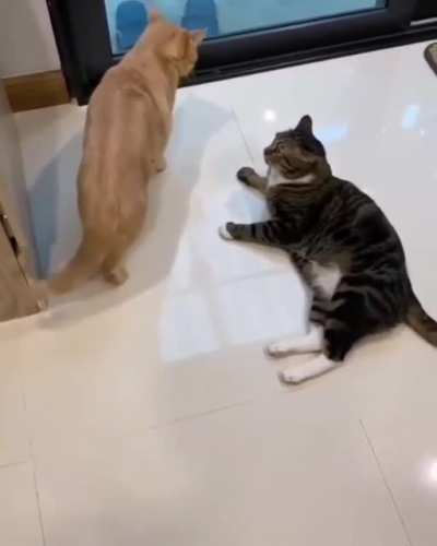 Sneak attack