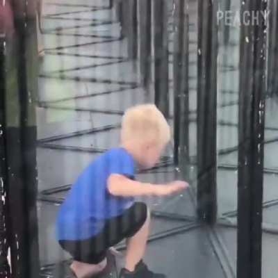 Crianças batendo a cara no vidro
