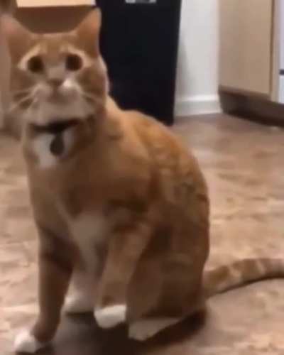 What just happened?