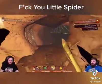 Maybe killing that spider wasnt a good idea
