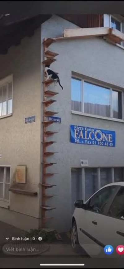 After a stressful duty Fiona climbs her stairs athletically directly to her room.🤣