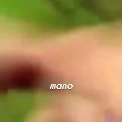 Cachorro diferente esse ein