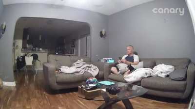 Dog flip